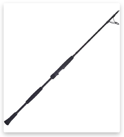 Flounder Fishing Made Easy: Discover the Best Rod Now! 2024