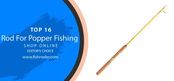 Popper Fishing Rods: Cast, Pop, and Catch Like a Pro! 2024