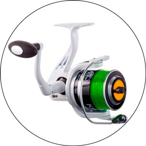 Read more about the article Best Fishing Reels For Catfish 2024