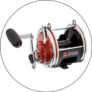 Read more about the article Best Reels For Shark Fishing 2024
