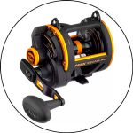 Best Reels For Tarpon Fishing: A Comprehensive Guide 2024