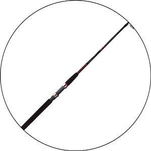 Read more about the article Best Steelhead Fishing Rod 2024