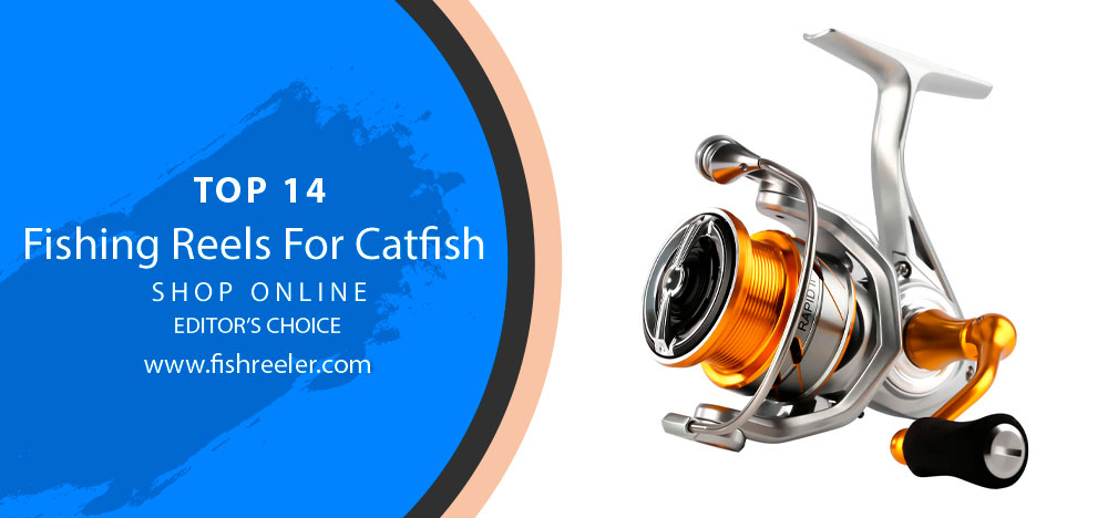 Dive Deep into the World of Catfish with the Best Reels 2024