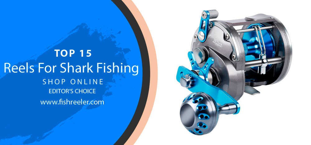 TOP 15 Reels For Shark Fishing: Buying Guide & Reviews 2024