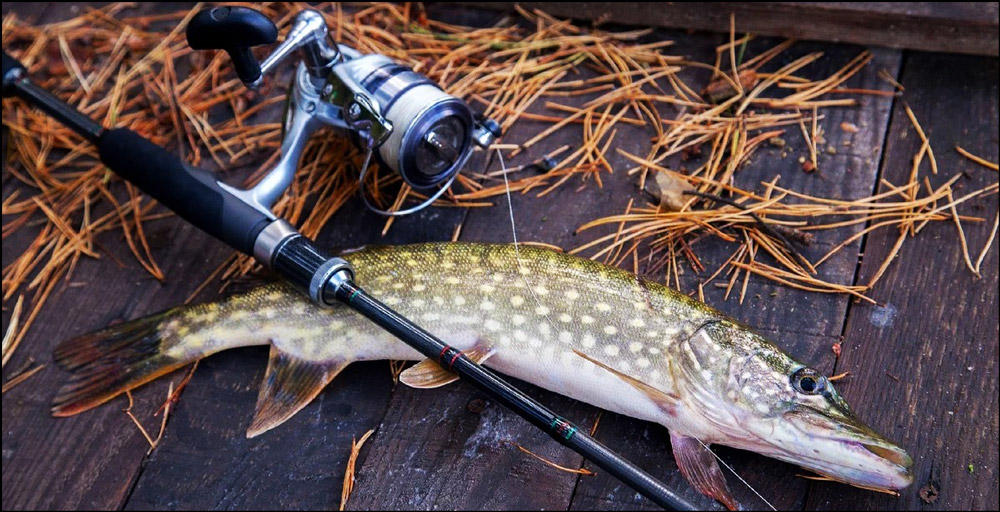Rod For Fishing Pike
