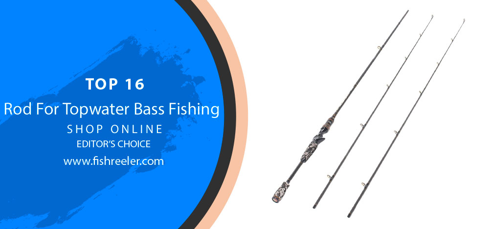Rise to the Top: Your Ultimate Guide to Topwater Bass Fishing Rod