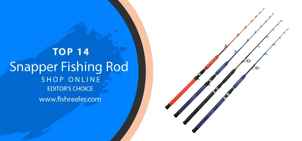 Snapper Fishing Rods: Feel the Thrill of the Catch! 2024