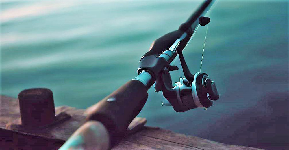 Elevate Your Fishing Game: The Best Jetty Fishing Rods of 2024